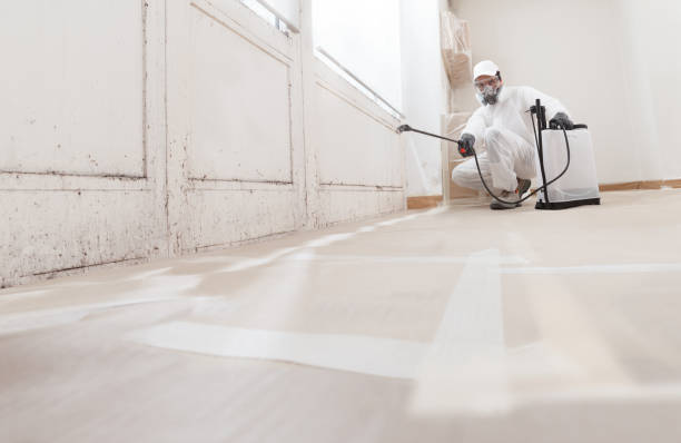 24/7 Emergency Attic Mold Removal experts in Sharon, MA