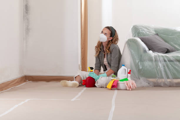 Reliable Attic Mold Removal contractor in Sharon, MA by WQB Mold Removal